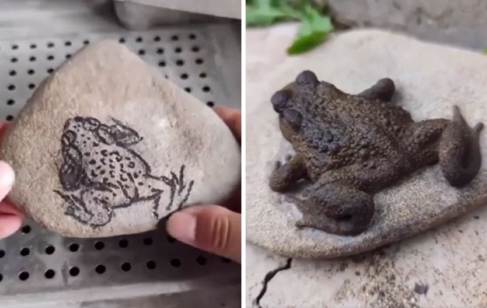 This Rock Was Carved Into A Hyper-Realistic Frog