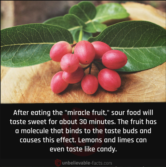 Page-Shares-Unbelievable-Facts