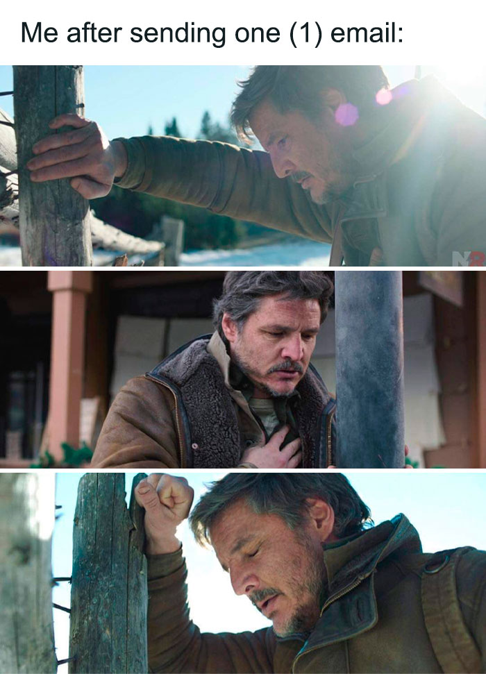 Me after sending one email meme