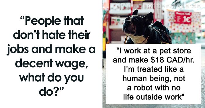 “Doesn’t Even Feel Like A Job”: 60 People Who Actually Enjoy Their Work Share What They Do