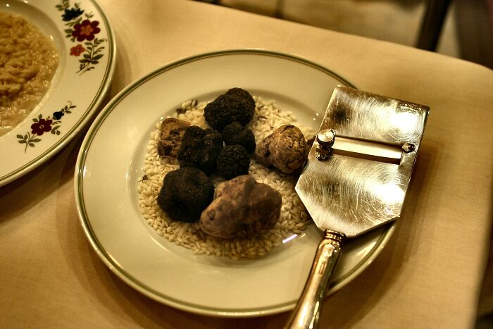 Multiple selection with truffles on a plate 