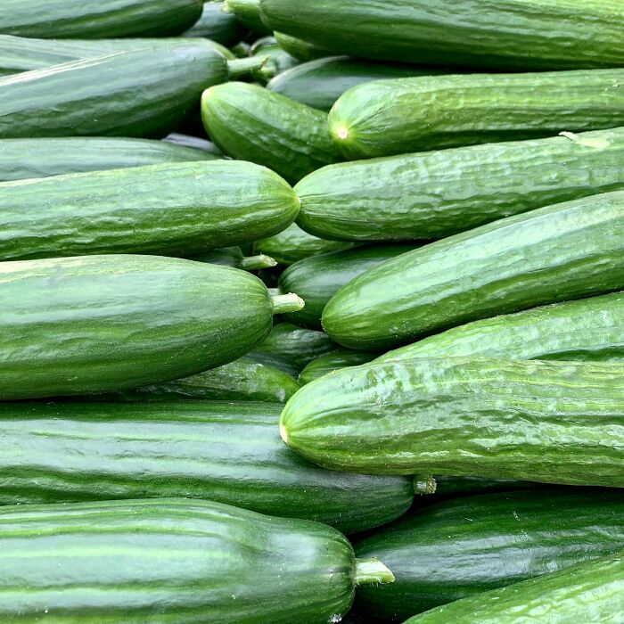 Multiple long cucumbers 