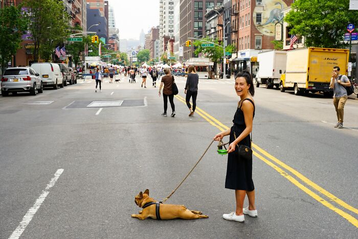 Woman and a dog standing in the middle of the road 