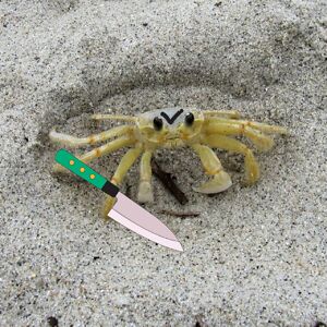 haileypandya3 avatar