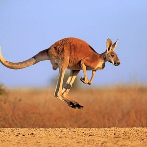 lukerobinson_1 avatar