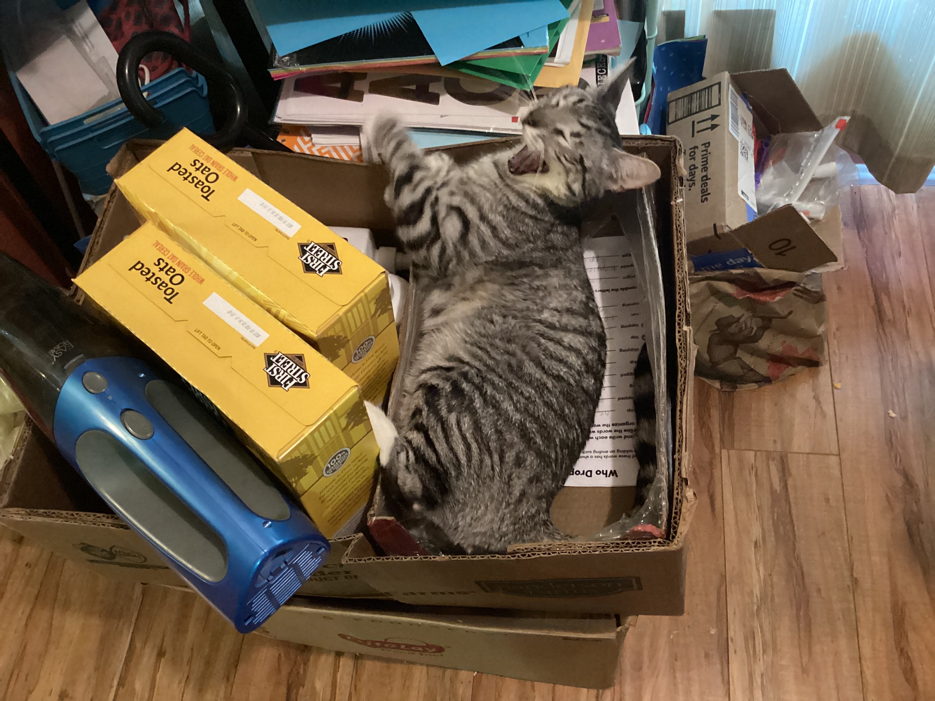 Hey Pandas, Post The Weirdest Picture Of Your Pet/S That You Have