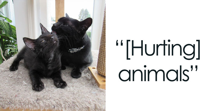 30 Warning Signs That Indicate Someone Is A Terrible Person, As Shared By Folks Online