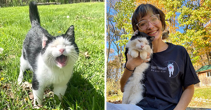 A Friendship That Lasted For Almost A Decade Resulted In This Senior Feral Cat Becoming An Indoor Pet