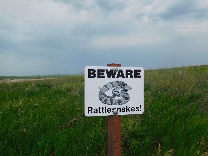 Warning sign on Rattle snakes 