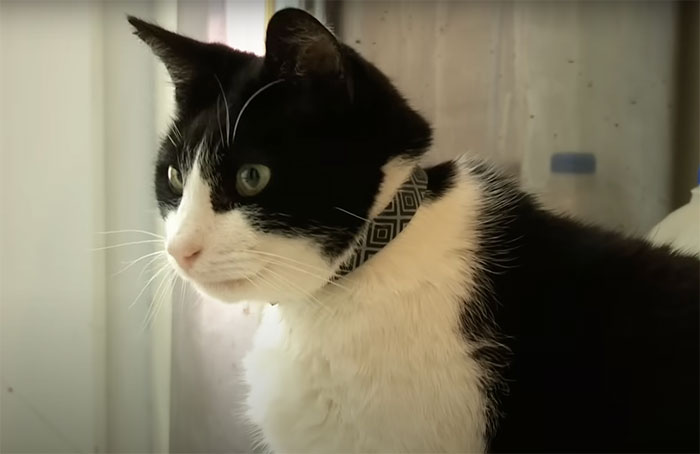 99 Strange World Records That Are Weirder Than They Seem