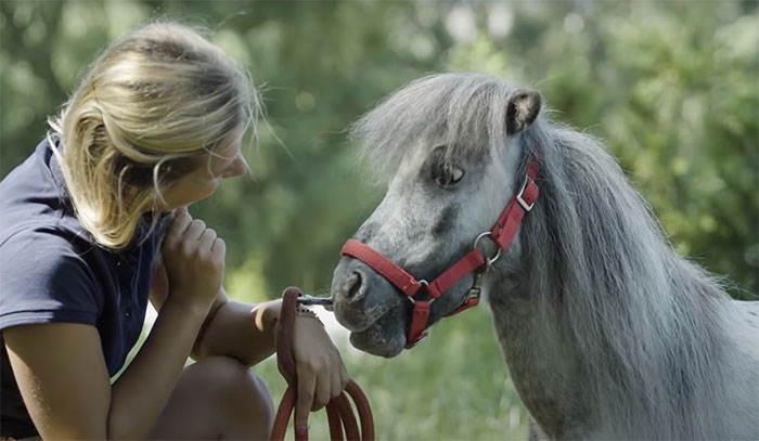 99 Strange World Records That Are Weirder Than They Seem