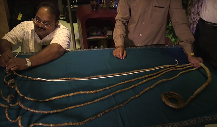 99 Strange World Records That Are Weirder Than They Seem