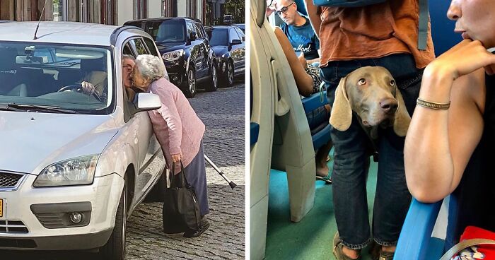 Instagram Account With Over 574 Thousand Followers Features Amusing Street Photos (30 New Pics)