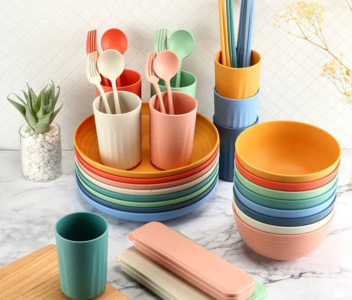 Picnic camping dishes 