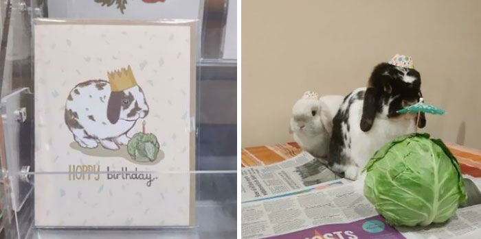 A Card My Sister Just Found In A Store vs. A Picture I Posted On Reddit Six Months Ago