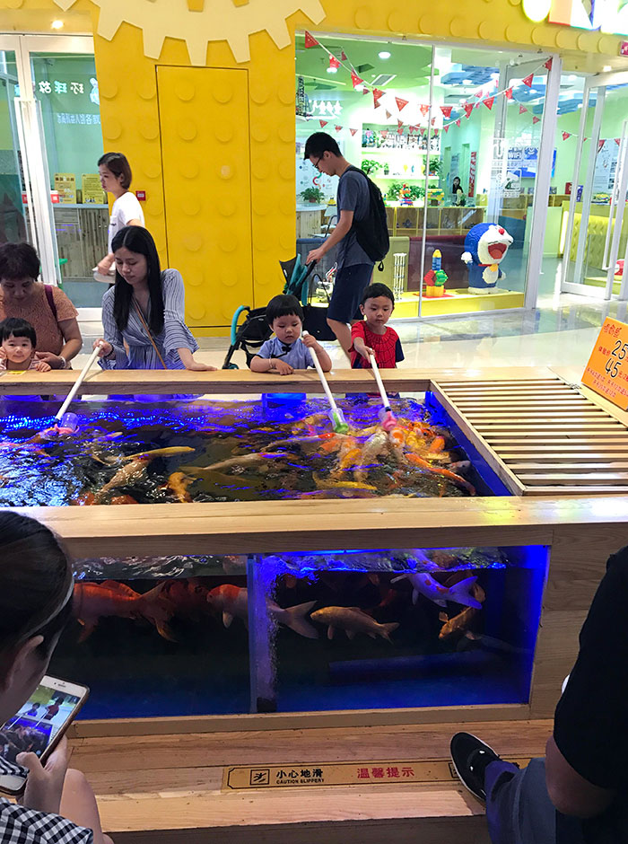 Chinese Mall Kiosk Lets Kids Bottle Feed Koi Fishes