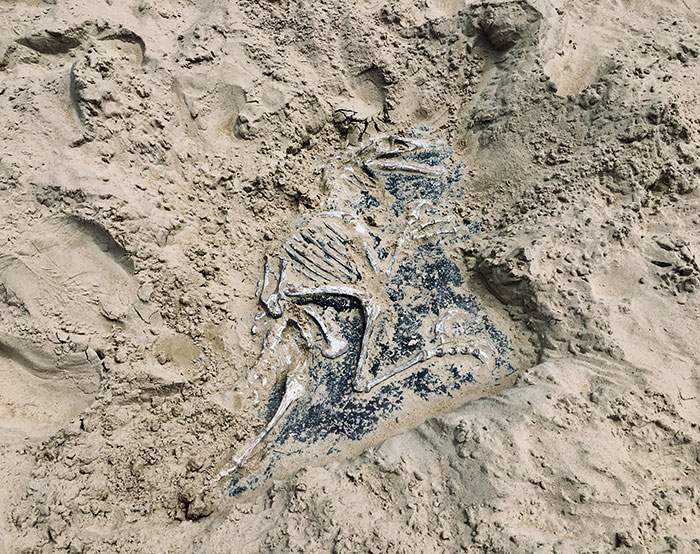This Playground Has A Velociraptor Buried In The Sandpit For Kids To Dig Up
