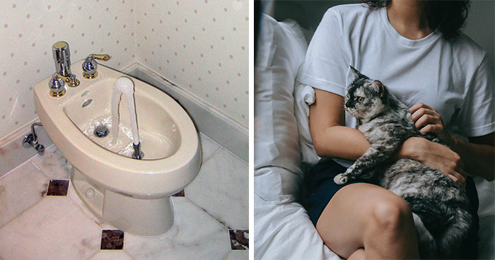 “It’s Ruined Me Forever”: 30 People Share What They Became Obsessed With Once They’d Tried It Once