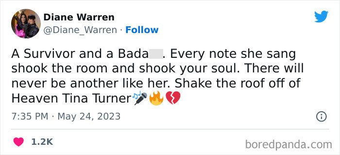 Tina-Turner-Tributes