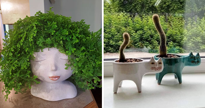 30 Times People Paired Plants And Pots So Perfectly, They Just Had To Share