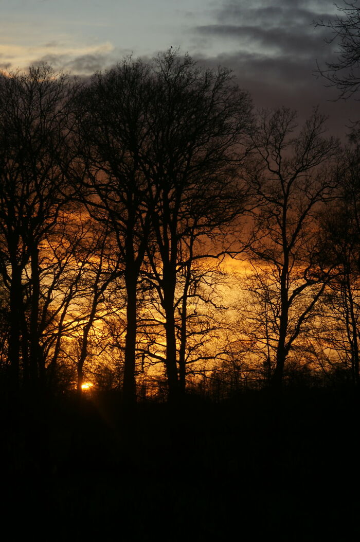 This Is The View From My Bedroom Window. The Sunset Was So Beautiful!