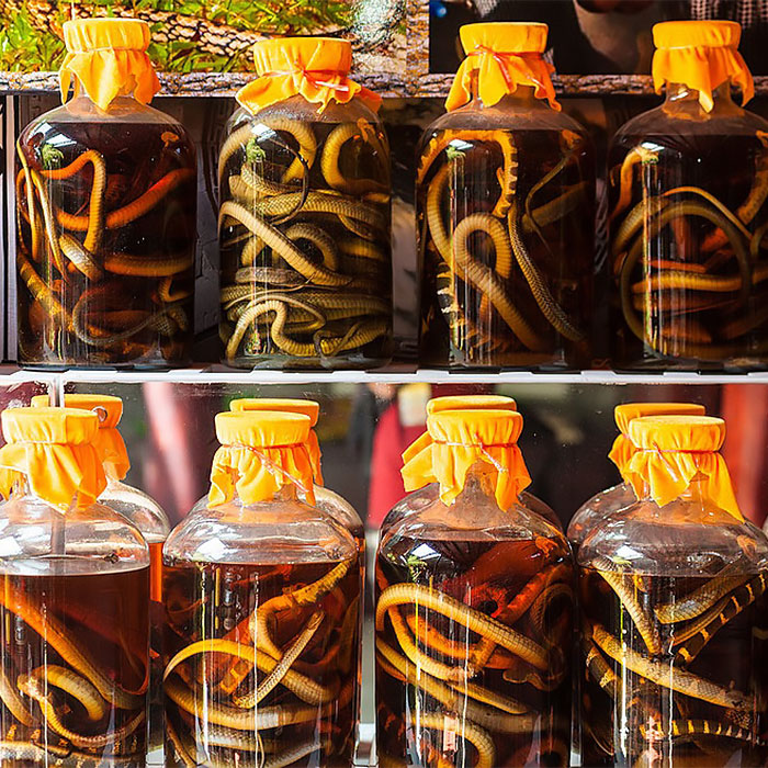 eight jars with liquids and snakes in them