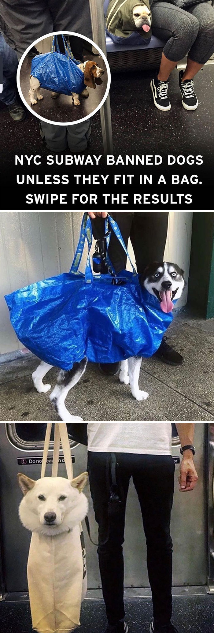 Wholesome-Memes-Hurtingsouls