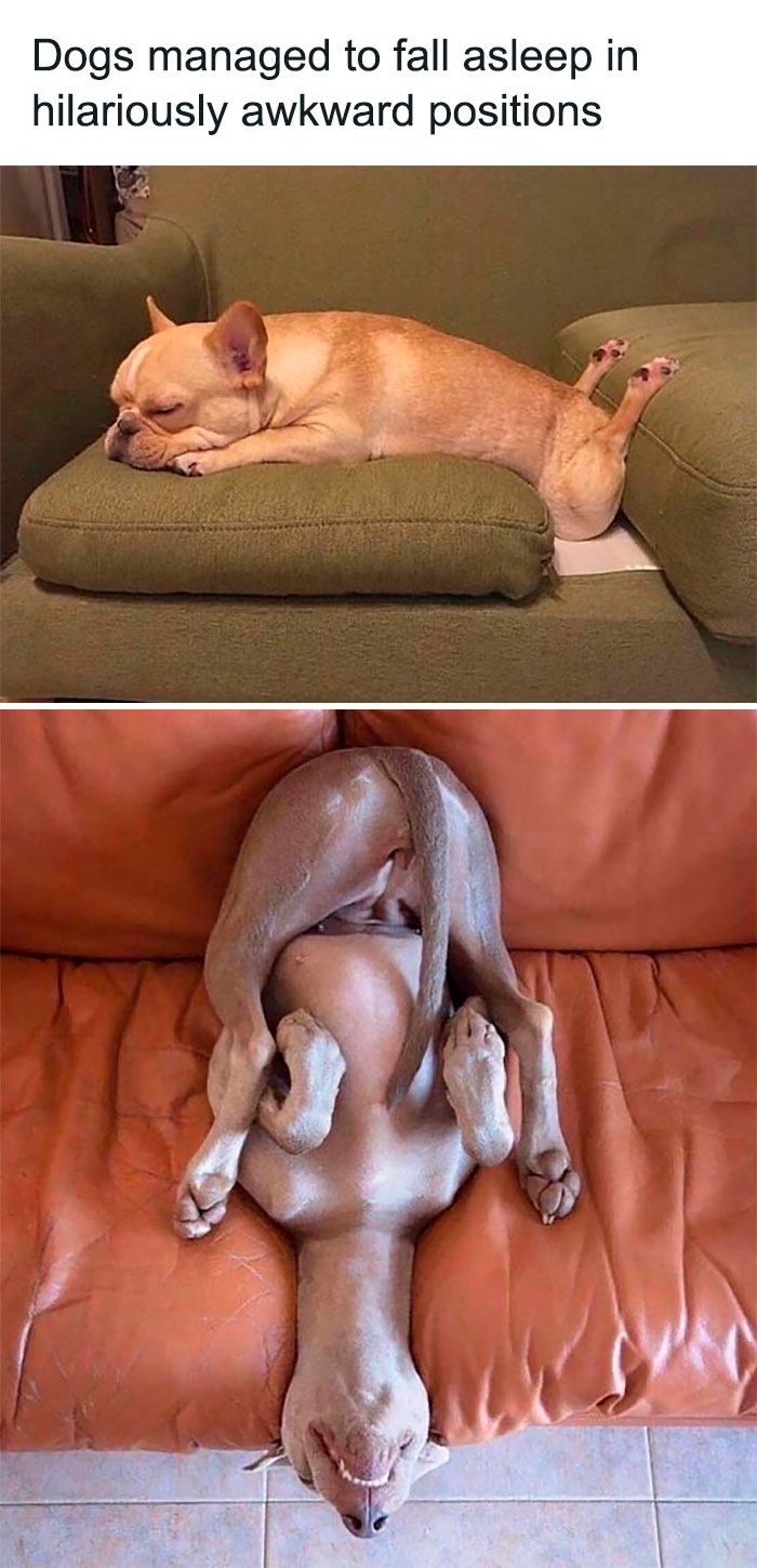 Wholesome-Memes-Hurtingsouls