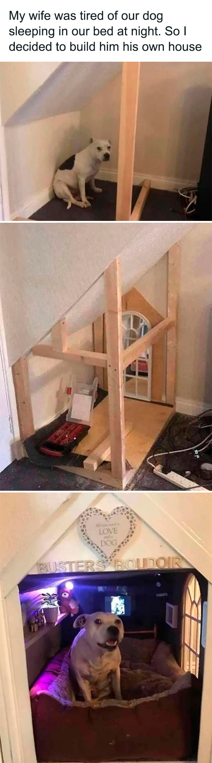 Wholesome-Memes-Hurtingsouls