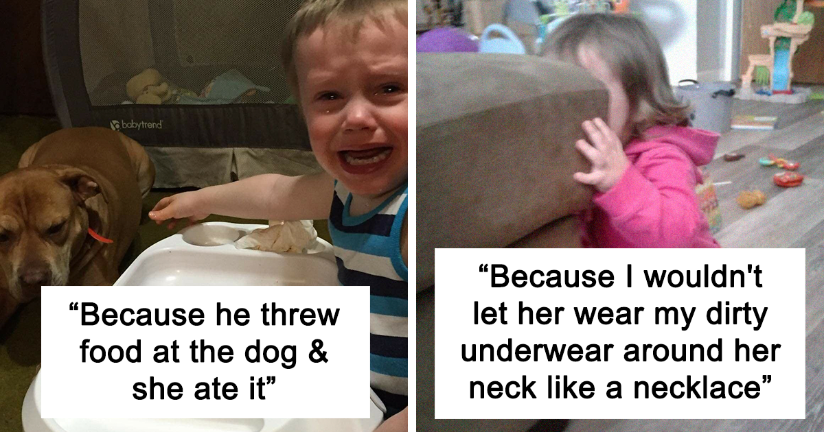 94 Hilarious Reasons "Why My Kid Is Crying" Bored Panda
