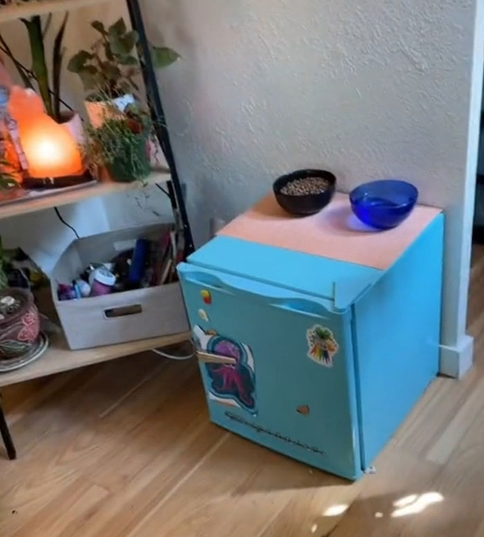 Woman Comes Up With Creative Idea To Save On Rent And Have Her Own Space, Goes Viral Woman Comes Up With Creative Idea To Save On Rent And Have Her Own Space, Goes Viral