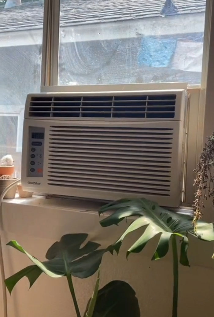 Woman Comes Up With Creative Idea To Save On Rent And Have Her Own Space, Goes Viral Woman Comes Up With Creative Idea To Save On Rent And Have Her Own Space, Goes Viral