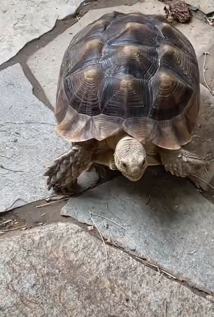 Woman Comes Up With Creative Idea To Save On Rent And Have Her Own Space, Goes Viral Woman Comes Up With Creative Idea To Save On Rent And Have Her Own Space, Goes Viral