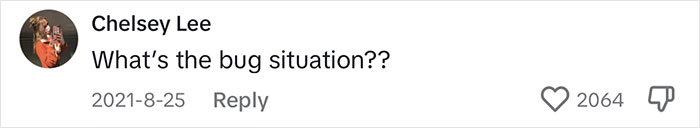 Woman Comes Up With Creative Idea To Save On Rent And Have Her Own Space, Goes Viral Woman Comes Up With Creative Idea To Save On Rent And Have Her Own Space, Goes Viral