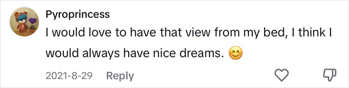 Woman Comes Up With Creative Idea To Save On Rent And Have Her Own Space, Goes Viral Woman Comes Up With Creative Idea To Save On Rent And Have Her Own Space, Goes Viral