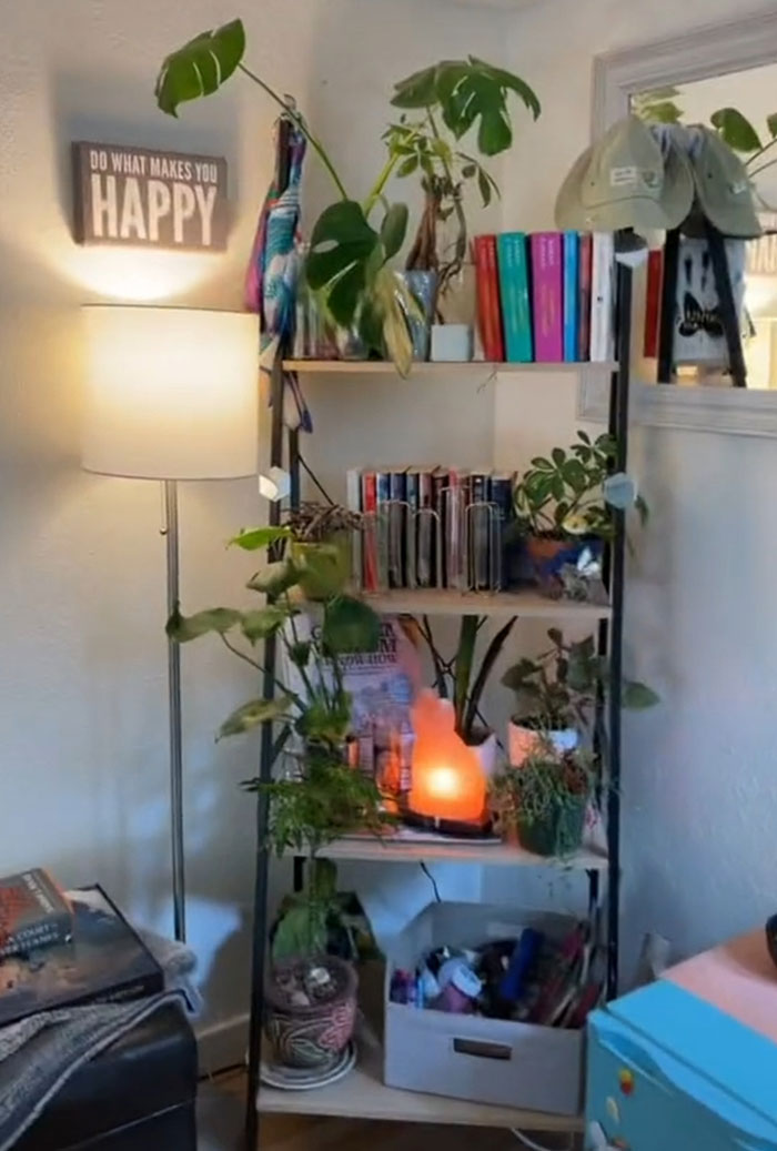 Woman Comes Up With Creative Idea To Save On Rent And Have Her Own Space, Goes Viral Woman Comes Up With Creative Idea To Save On Rent And Have Her Own Space, Goes Viral