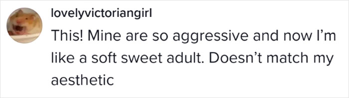 Text expressing regret about aggressive tattoos not matching a softer adult aesthetic.