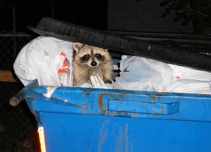 Woman Gets Petty Revenge On Trashy Neighbors By Making Sure No One Picks Up Their Smelly And Very Full Trash Cans Woman Gets Petty Revenge On Trashy Neighbors By Making Sure No One Picks Up Their Smelly And Very Full Trash Cans
