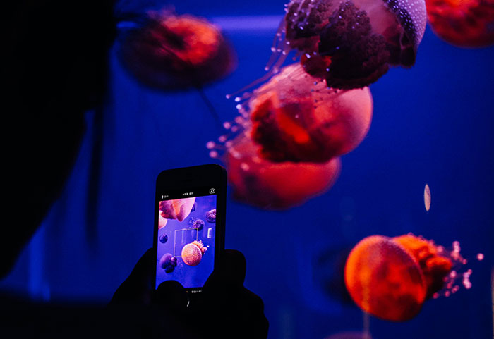 Family Member Shuts Down ‘Karen’ Aunt After She Threatened To Sue An Aquarium For Getting Stung By A Jellyfish