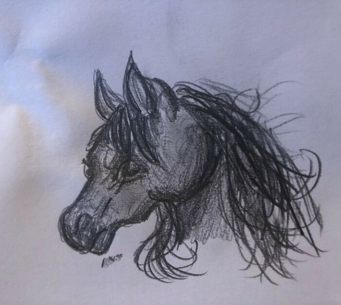 I Used To Be Better At Drawing Horses....this Is My Doodle Attempt After 7 Months