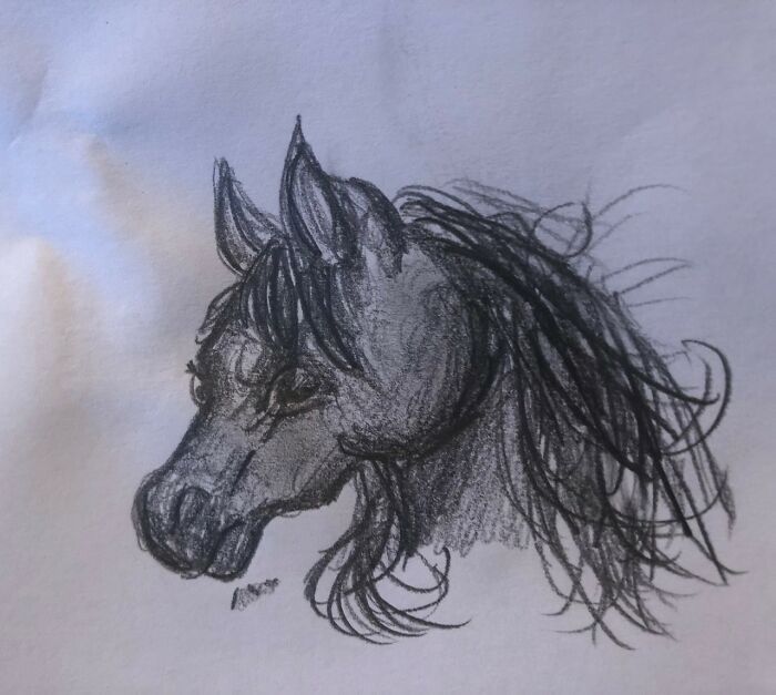 I Used To Be Better At Drawing Horses....this Is My Doodle Attempt After 7 Months