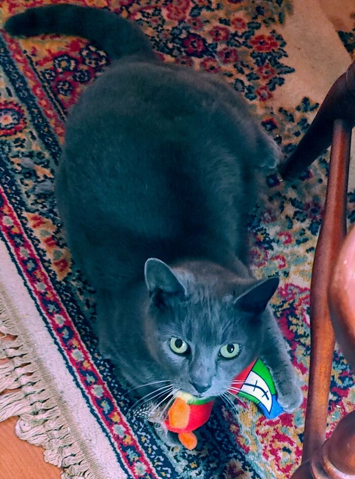 My Sweet Beast Baba Yaga