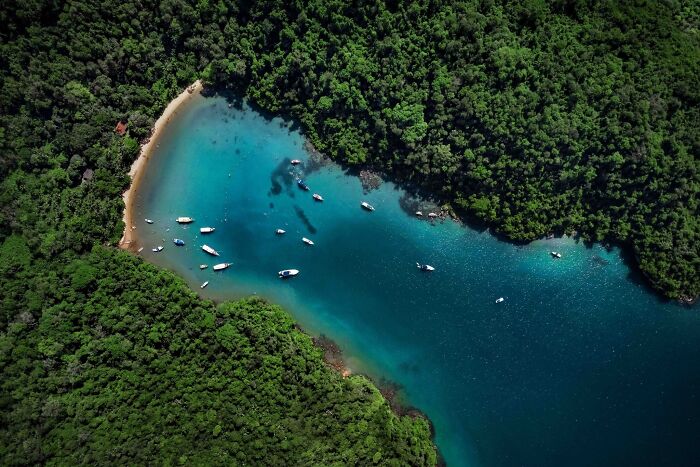 "Brasil Atlântico" By Henrique Murta