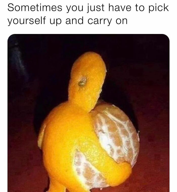 Peeling orange shaped like a person carrying another orange, funny and relatable introvert meme about carrying on.