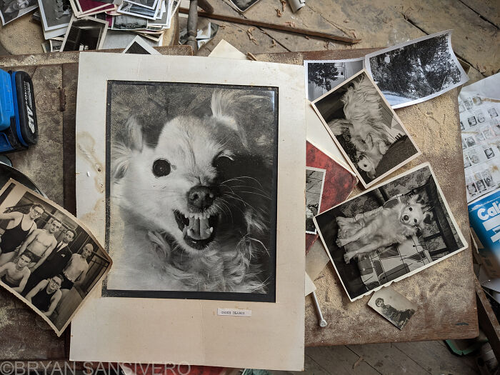 The Dark Past Of This Abandoned House Made Me Visit And Photograph It (15 Pics) The Dark Past Of This Abandoned House Made Me Visit And Photograph It (15 Pics)