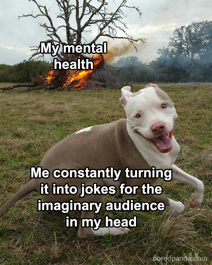 Happy dog with a burning tree in the background, depicting mental health humor in relatable introvert memes.