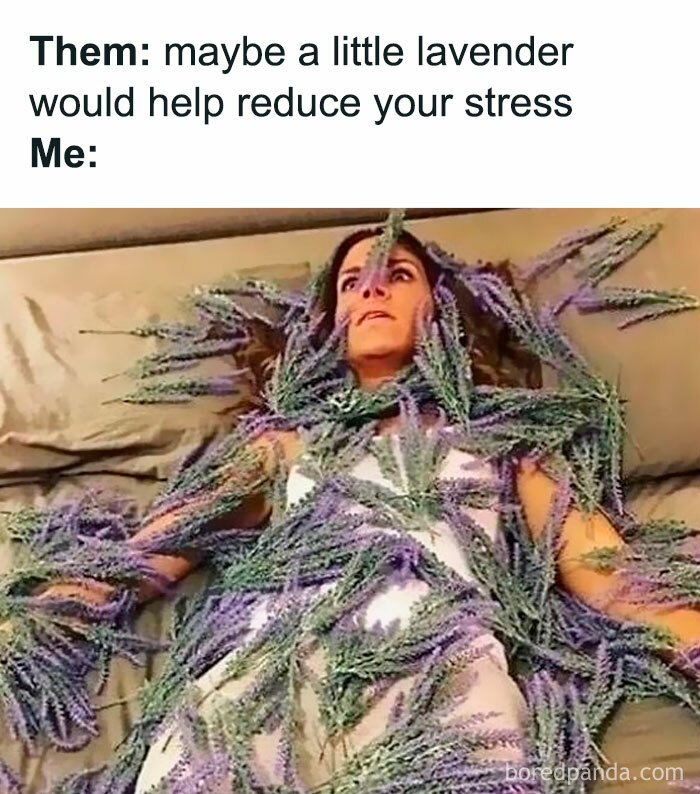 Person lying on bed covered in lavender with a stressed expression, illustrating a relatable introvert meme about stress relief.