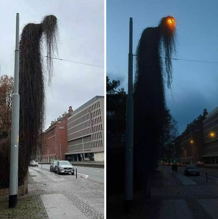 Don’t F**k With Plants Or This Thing Will Come Get You