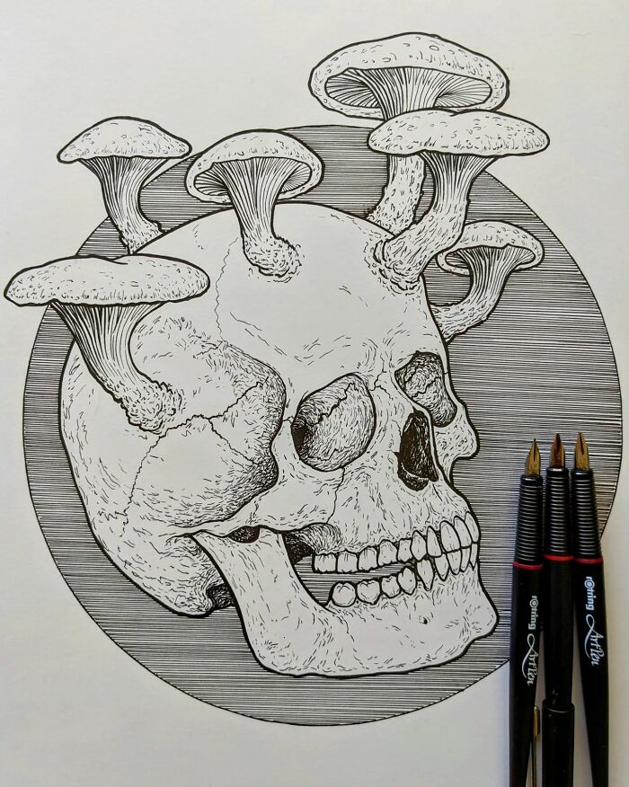 Osseous Boletationis