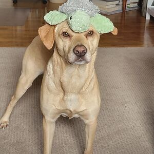 kaleighlonge_1 avatar